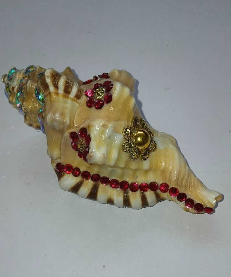 Siddhi Kalash Vamavarti Original Lord GANESH Shankh